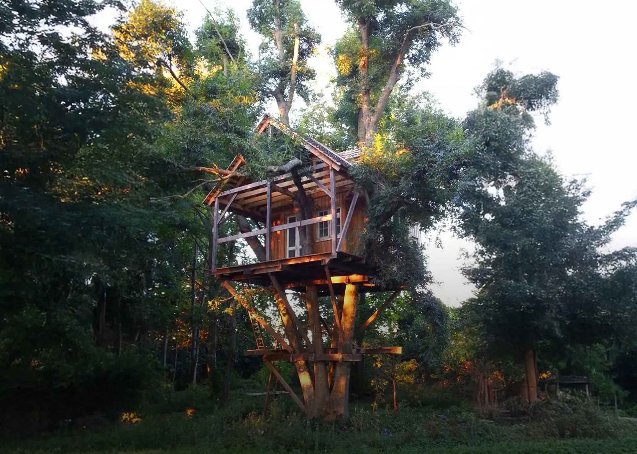 Treehouse, Sussex